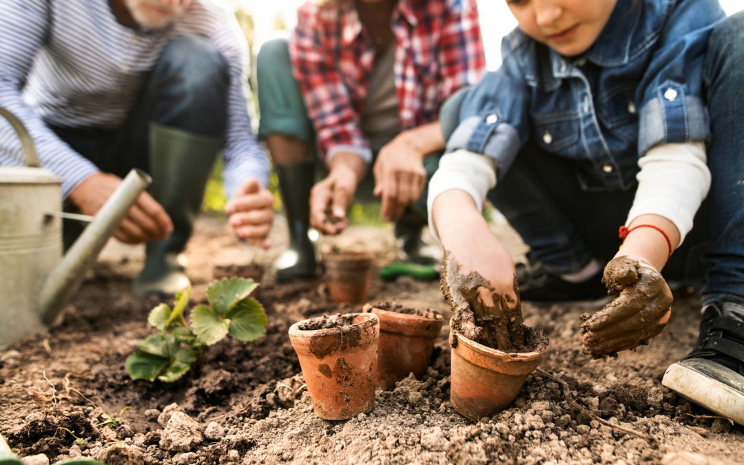 Year-Round Gardening: Strategies for Seasonal Planting and Ongoing Care