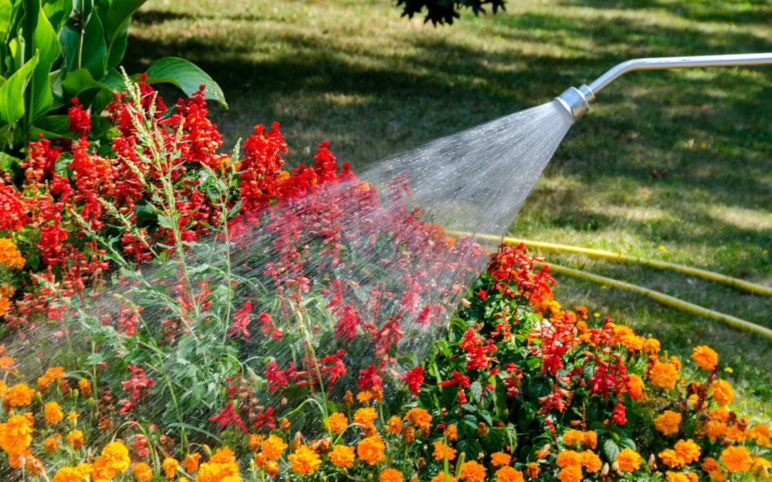 Conserving Water in Your Garden: Essential Techniques and Tools for Water-Wise Gardening