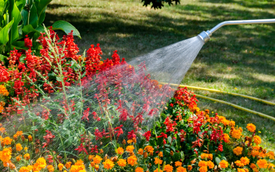 Conserving Water in Your Garden: Essential Techniques and Tools for Water-Wise Gardening